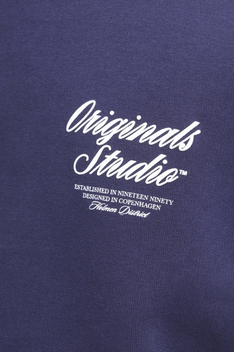 Jack & Jones jornorrebro typo back sweat hood sn